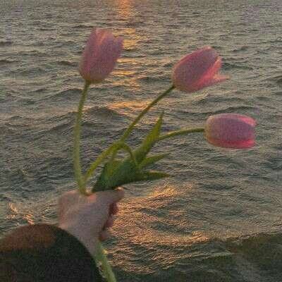 best365官网手机版