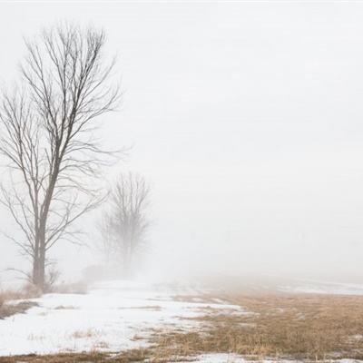 爱游戏APP·官方登录入口(ayx)手机app下载